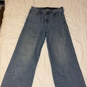 Banana Republic Light Blue Wide Leg Jeans